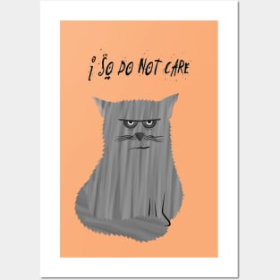 I so do not care Posters and Art